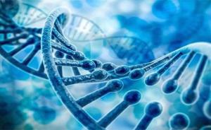 銳翌生物獲近億元A輪融資，魯信創(chuàng)投領(lǐng)投加速生物研發(fā)新突破