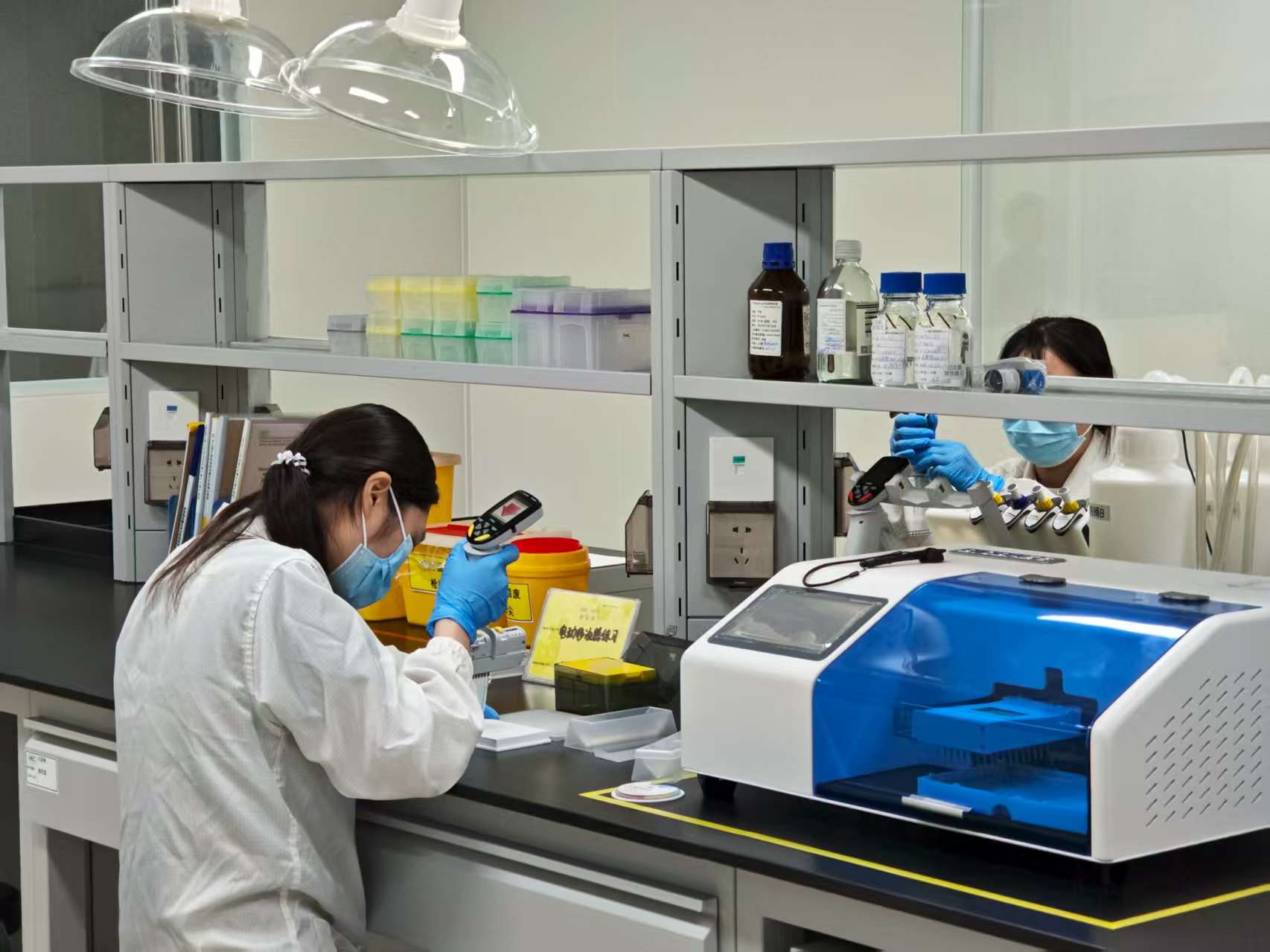 東莞2026年投資圖譜 超1600億重倉(cāng)工業(yè)，基建熱潮下的生物研發(fā)新引擎